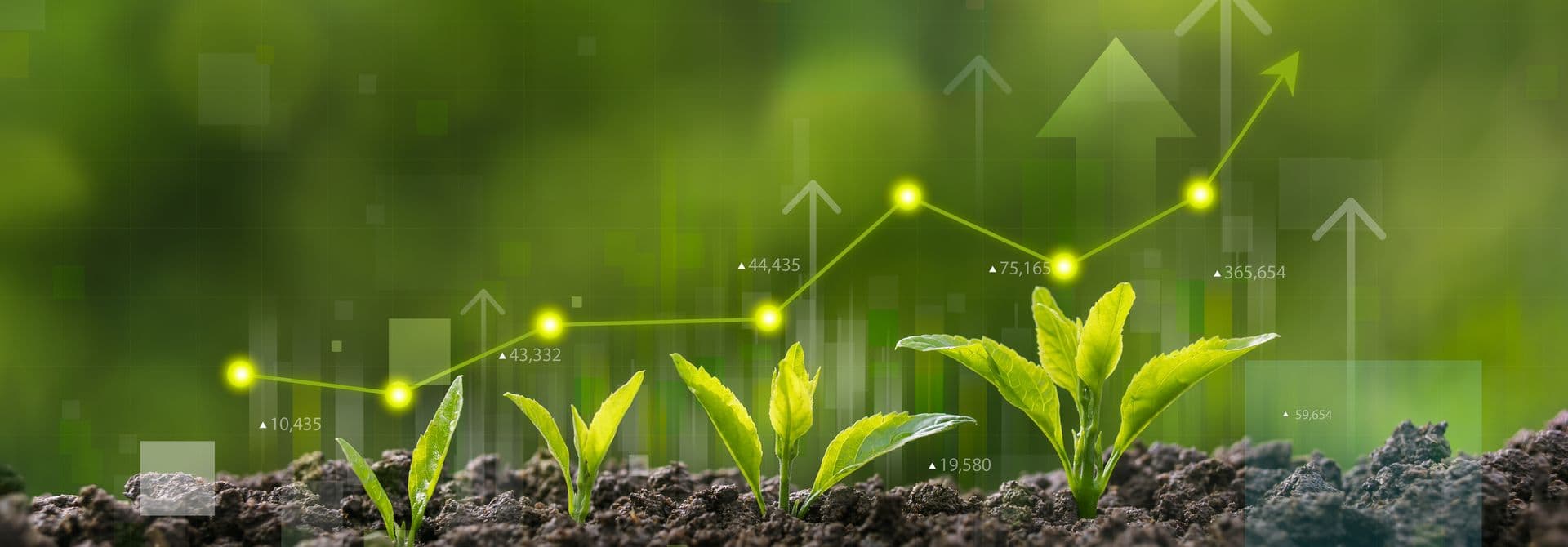 Kleine Pflanzen wachsen aus brauner Erde, Messeinheiten sind dargestellt.