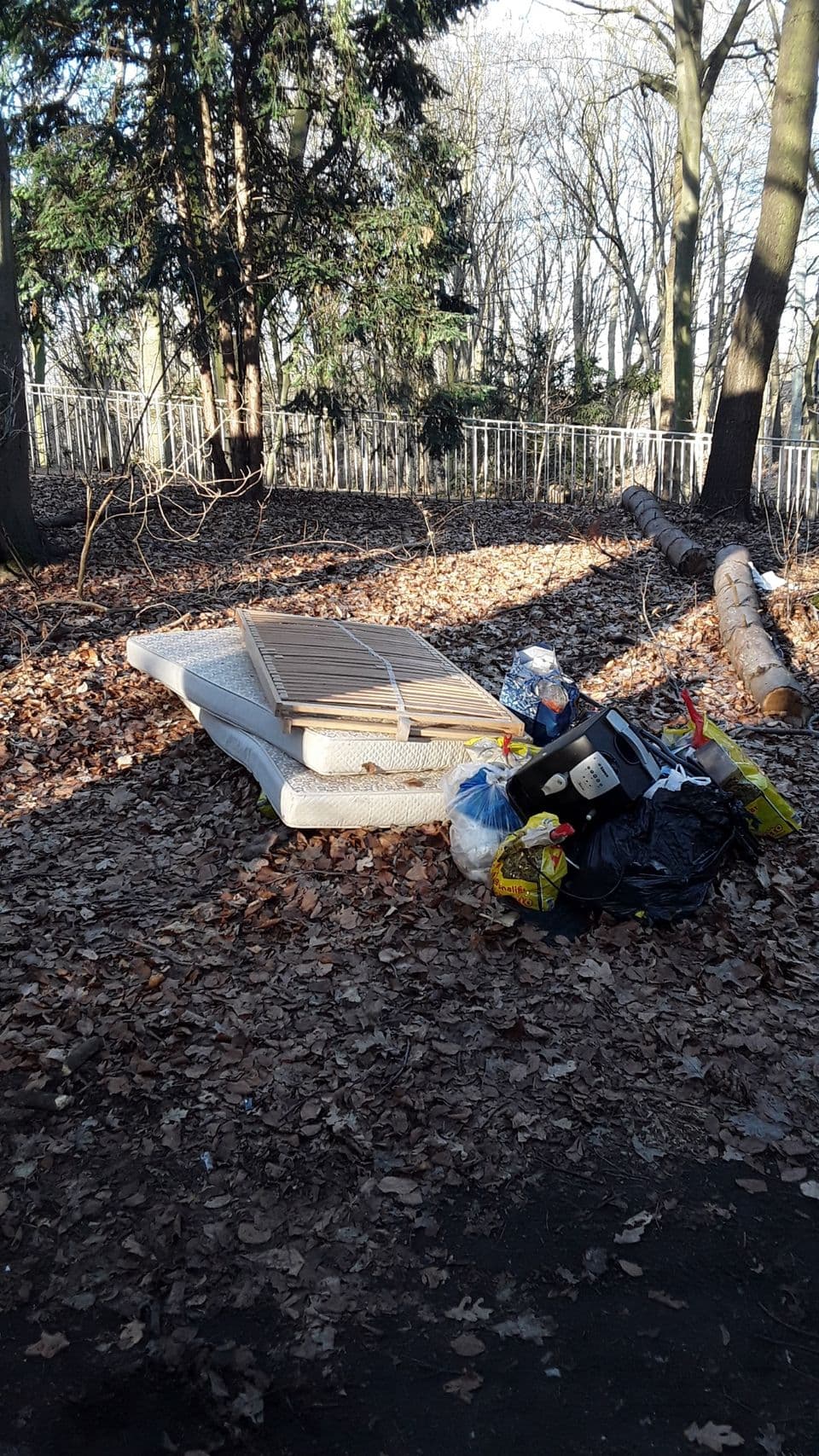 Wilde Kippe Wilde Müllkippe im Wald