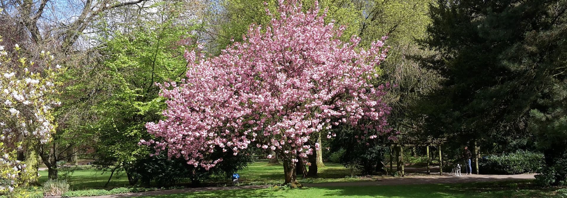 Volkspark Rheinhausen Volkspark Rheinhausen